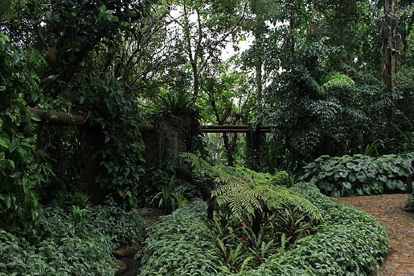 ���ֻ���