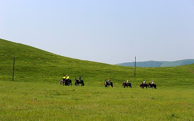 ��������