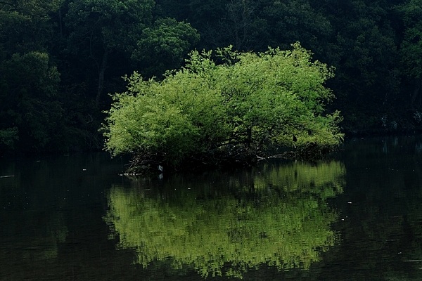 ��ˮһ����