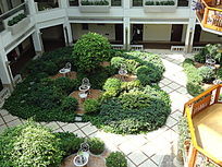 �����̻�