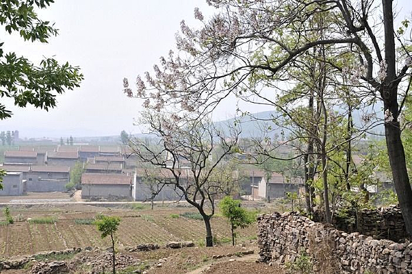 ɽ����ũ��