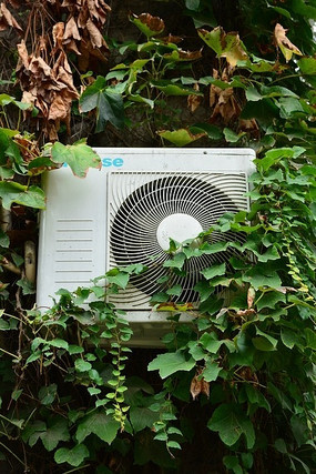 ������Ȼ