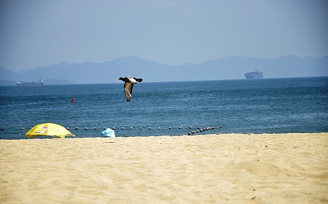 ���߸��ӷ���