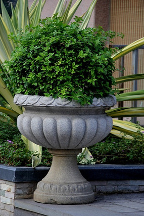 ʯͷ�����д