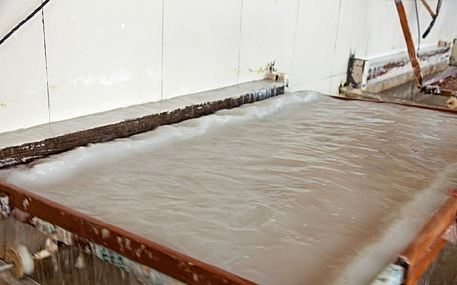 ��ֽ����