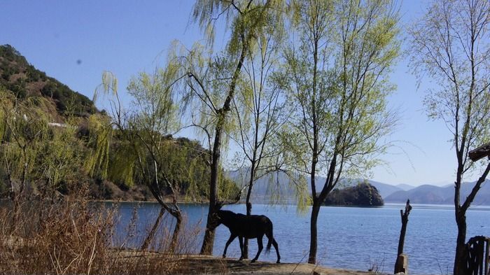 �����ˮ����