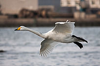 ׼������Ĵ����