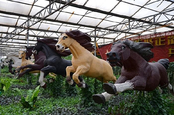 ������������