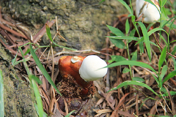 �����ϵ�Ģ��