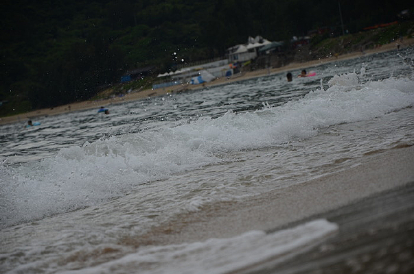 �ɽ�����