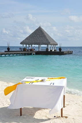 ���߶ȼ��ݽ�ɫɳ̲����