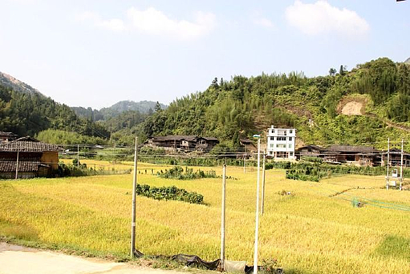 ���ɫ�ĵ���