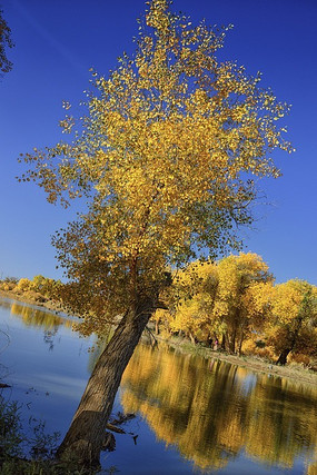 ����羰��Ӱ