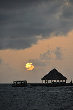 Ϧ���¶ȼٴ�