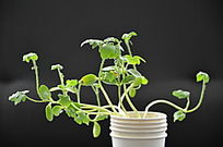 ���ϵ���