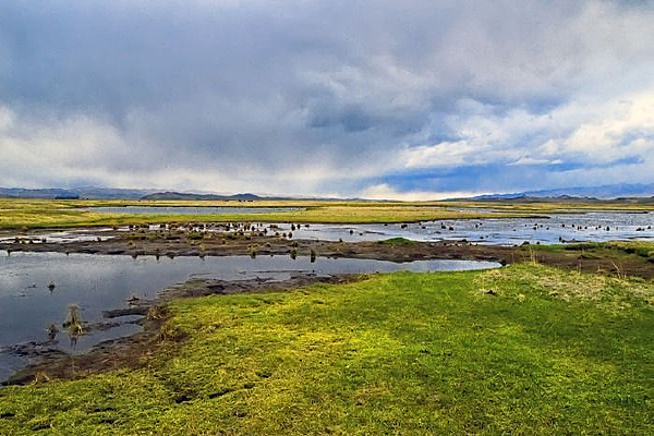 ��ԭ�����ں�