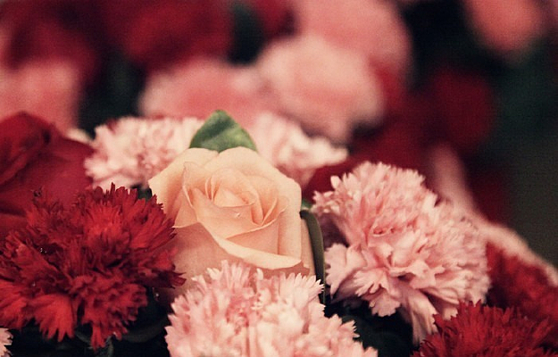 ��������ʻ�����