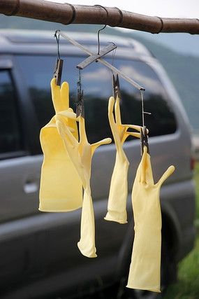 ��������