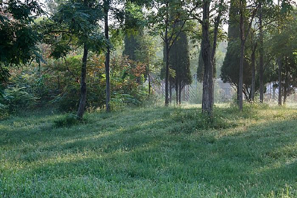 ��¶����ݵ�