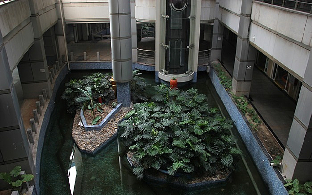 �̳����ֲ��