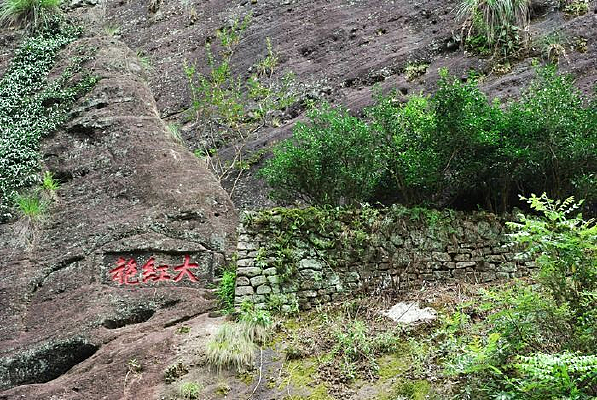 ����ɽ�����