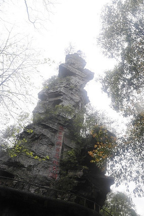 ɭ�ֹ�԰��־