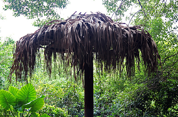 ��Ģ����ֲ��