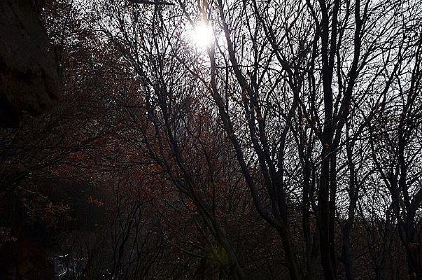 ������С��