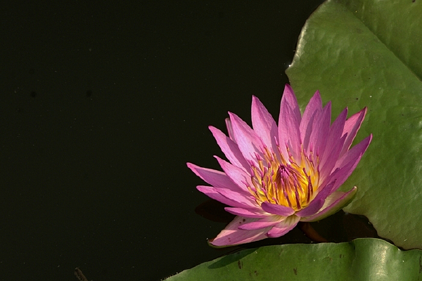 �ۺ�˯����