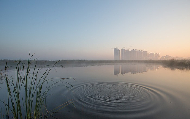 Զ���ľ�ɫ��