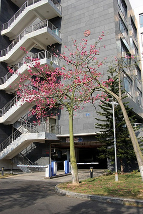 ��ɫ������