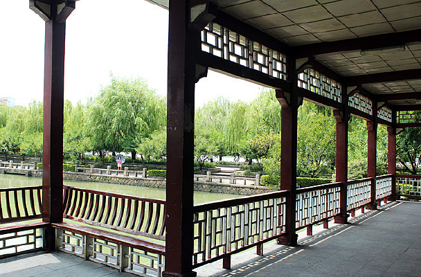 ����ͤ����