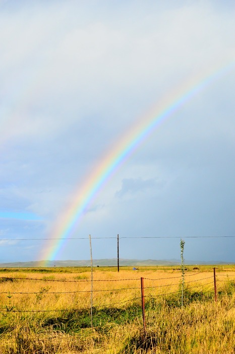 雨后草原上的彩虹