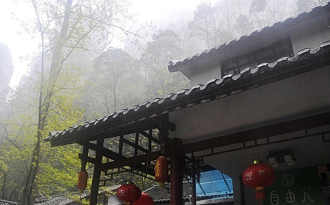 �żҽ羰������