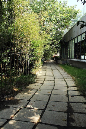 ������С·