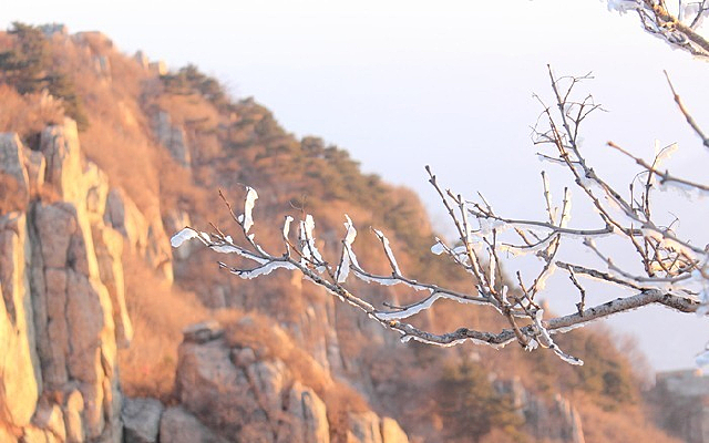 ��ѩ����