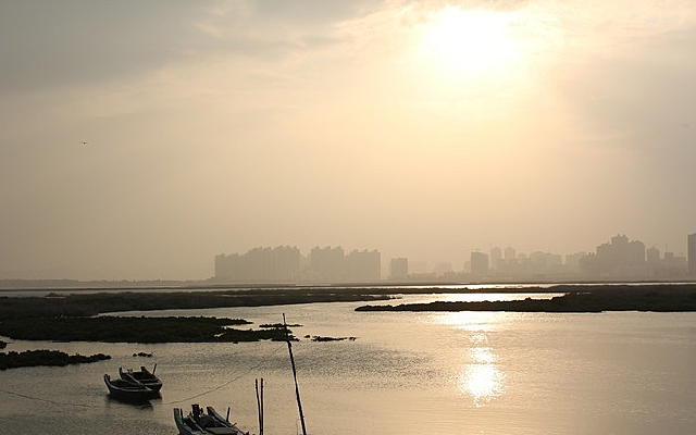 ��ɫ������