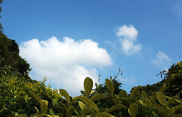 ������հ���