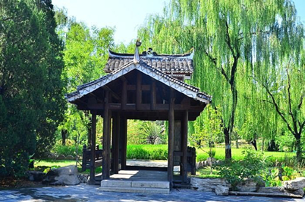 ������ͤ