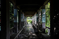 ��ɫ����