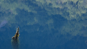 ��կ����Ӱ