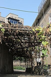 ������סլ