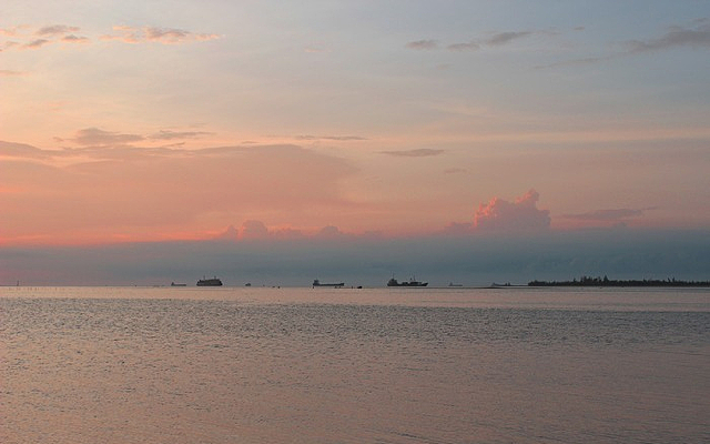 ����������