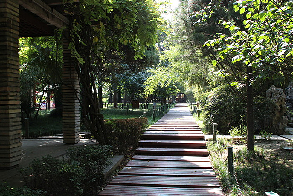 ������Ҷľ�ذ�