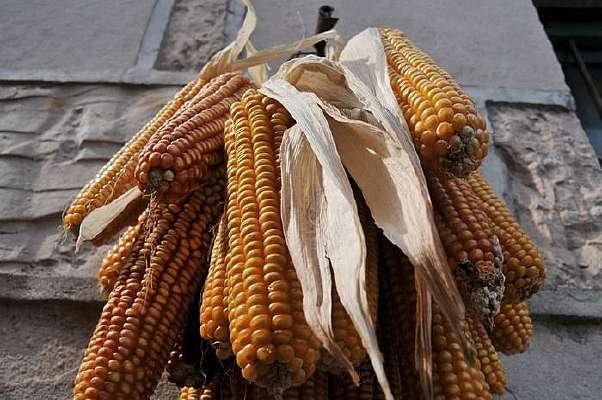 ǽ�����װ���