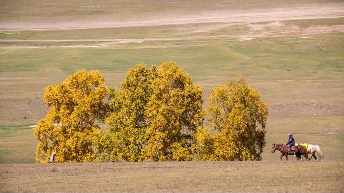 �����ڲ�ԭ