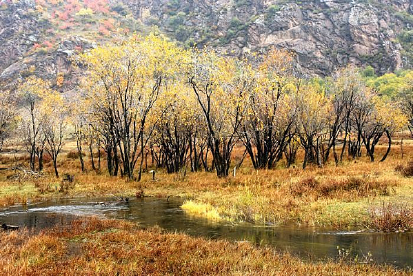 �����С����