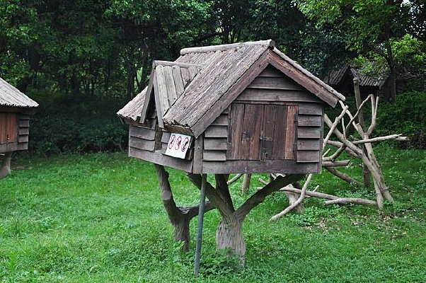 ���ϵ�Сľ��