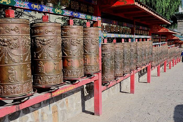 �����µľ�Ͳ