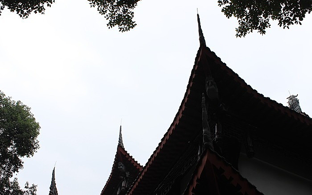 ����Ժ����